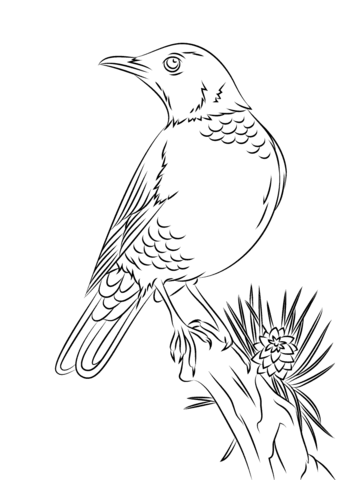 Perched American Robin Coloring Page